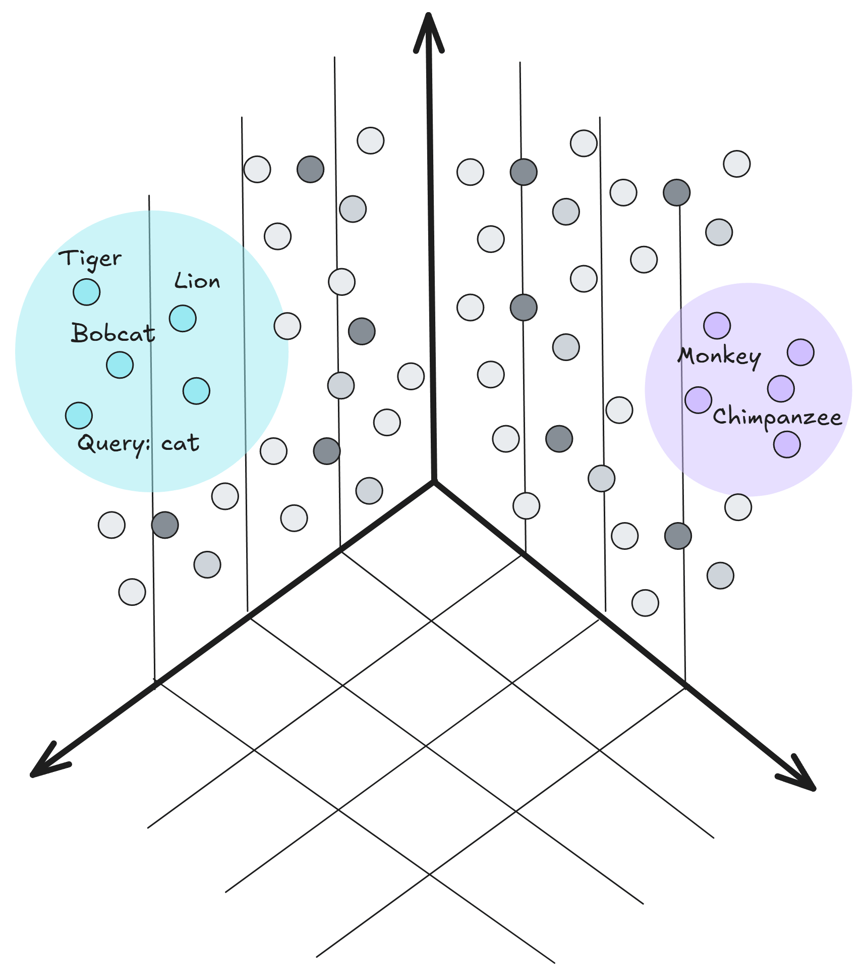Vector space visualization.